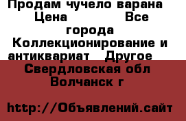 Продам чучело варана. › Цена ­ 15 000 - Все города Коллекционирование и антиквариат » Другое   . Свердловская обл.,Волчанск г.